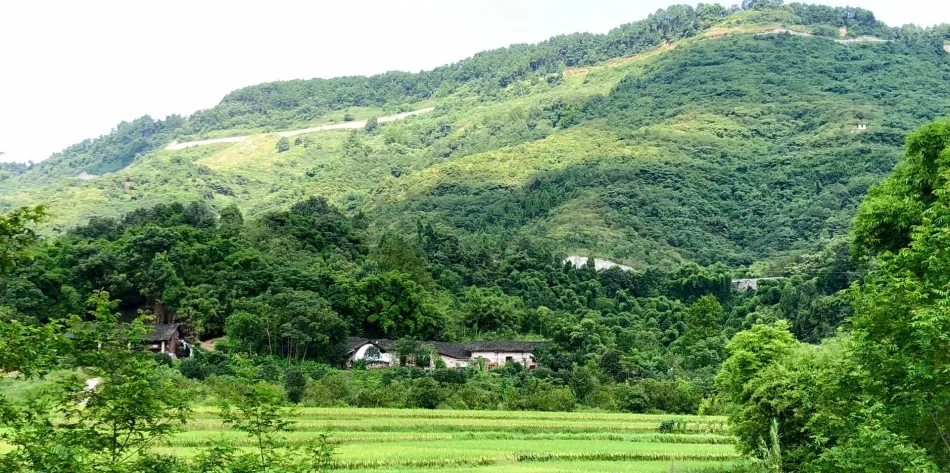 巴南区巴南区移动宽带